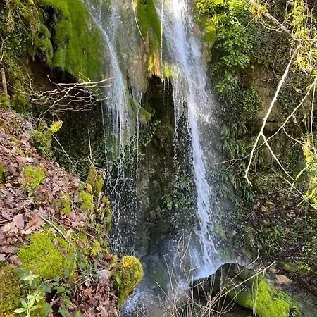 O Nature *