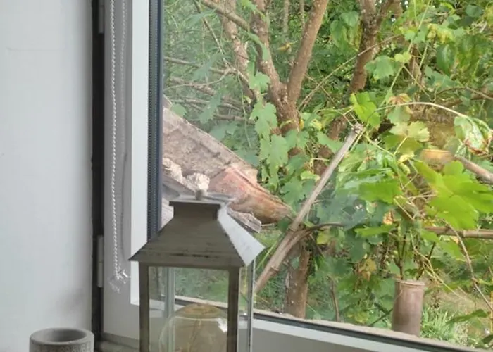 O Nature Дом отдыха