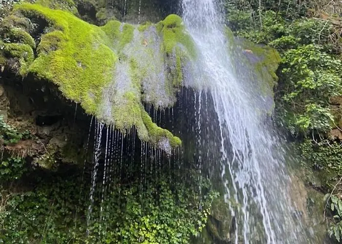Дом отдыха O Nature Varen