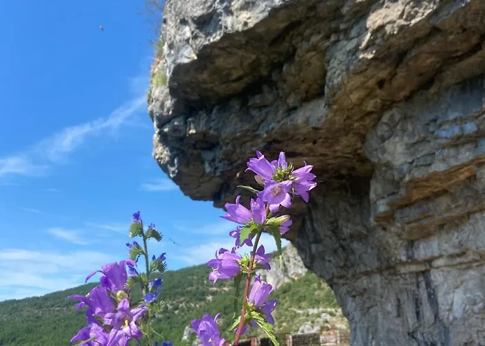 O Nature Дом отдыха *