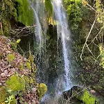 O Nature *