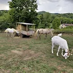 O Nature Holiday home