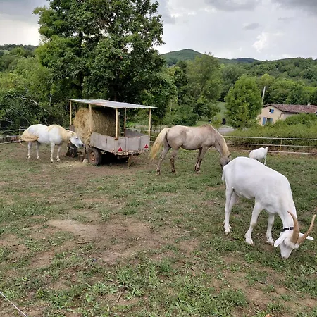 O Nature Сasa de vacaciones