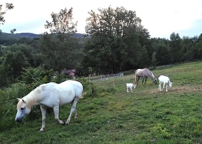 別荘 O Nature Varen